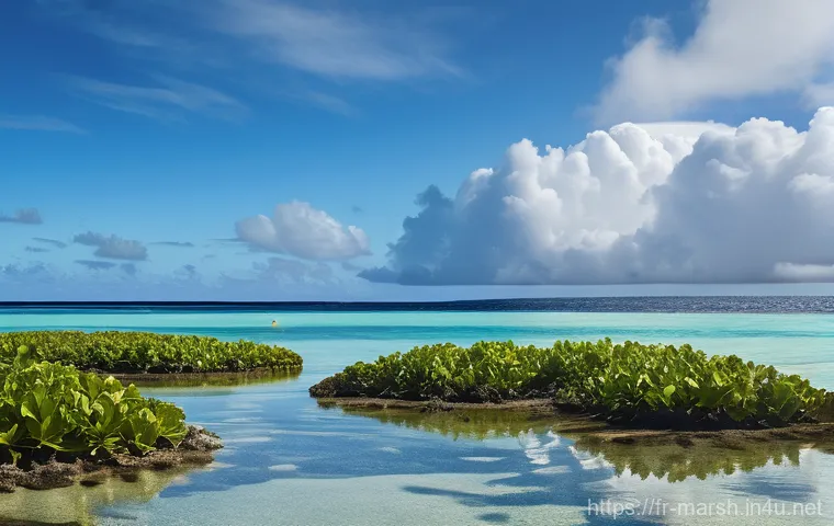 마셜 제도에서 유명한 사건 사고 - **Prompt: "A serene, tropical Marshall Islands atoll. In the mid-ground, a slightly weathered concre...