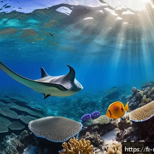 Home 33 마셜 제도에서의 스노클링 포인트 - A vibrant underwater scene showcasing an intact coral reef in the Marshall Islands, featuring divers...