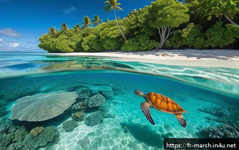 Découvrez les meilleurs spots de snorkeling aux îles Marshall pour une aventure sous-marine inoubliable 3 마셜 제도에서의 스노클링 포인트 관련 이미지 1