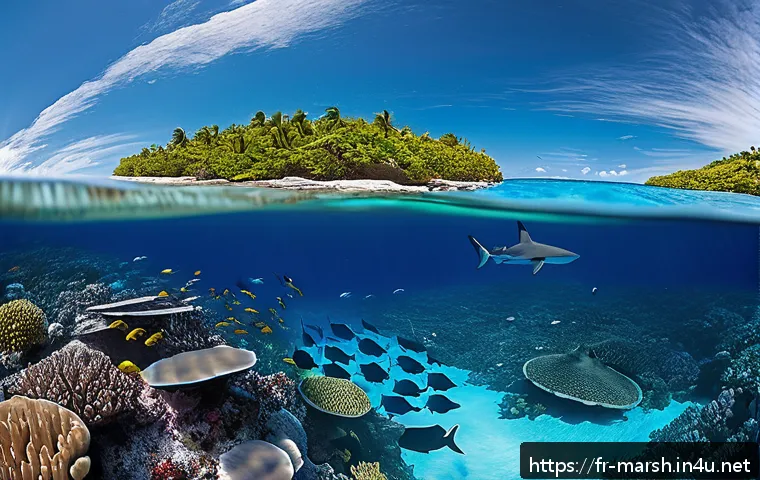 Découvrez les meilleurs spots de snorkeling aux îles Marshall pour une aventure sous-marine inoubliable 4 마셜 제도에서의 스노클링 포인트 관련 이미지 2
