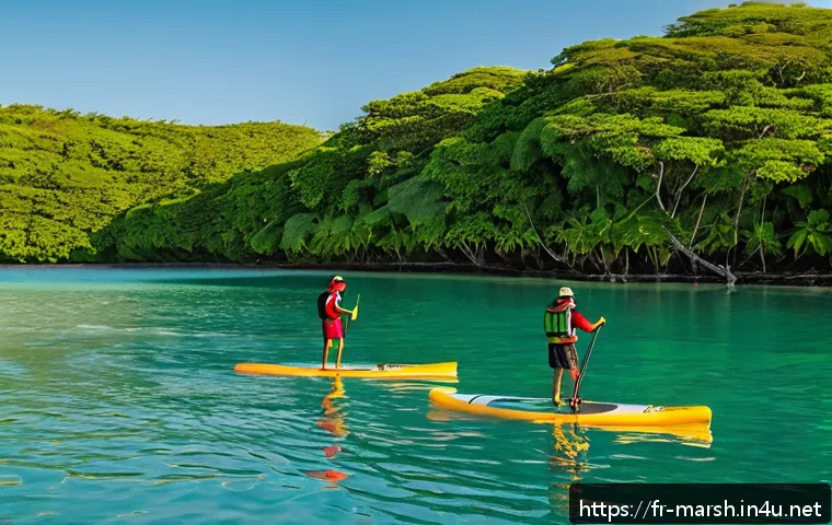 Découvrez les meilleures locations d’équipements nautiques aux îles Marshall pour une aventure inoubliable 4 마셜 제도에서의 수상 스포츠 장비 대여 관련 이미지 2